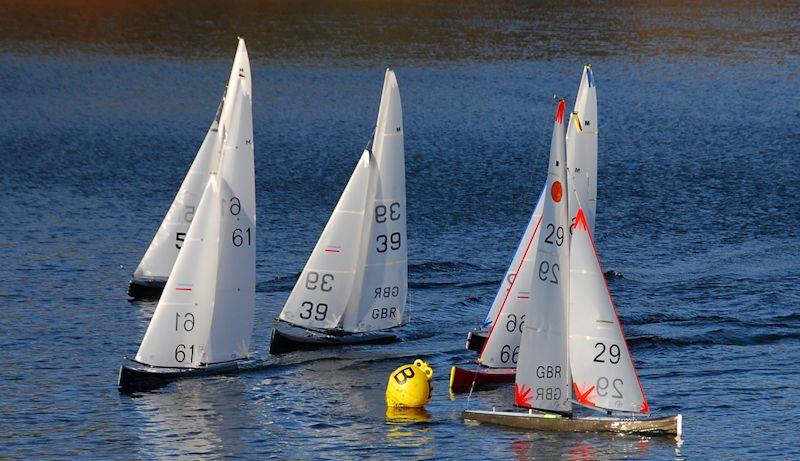 Marblehead Brass Monkey at Guildford photo copyright Roger Stollery taken at Guildford Model Yacht Club and featuring the Marblehead class