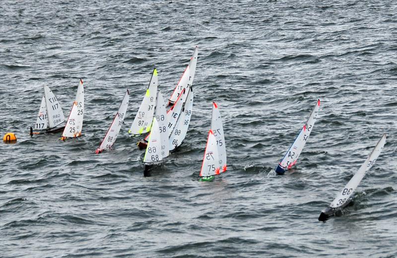 The whole fleet at one of the later starts - grandad Stollery (117)at the starboard end and grandson Oliver (39) at the port end during the MYA Marblehead Ranking 3 & 4 at Datchet Water  photo copyright Keith Parrott taken at Datchet Water Radio Sailing Club and featuring the Marblehead class