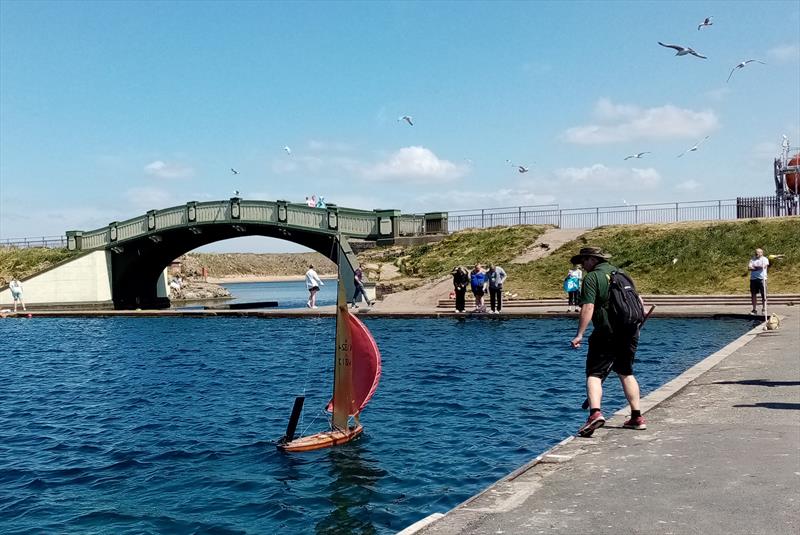 Vintage and Classic Marblehead Vane racing at Fleetwood - photo © Sharon Johnson