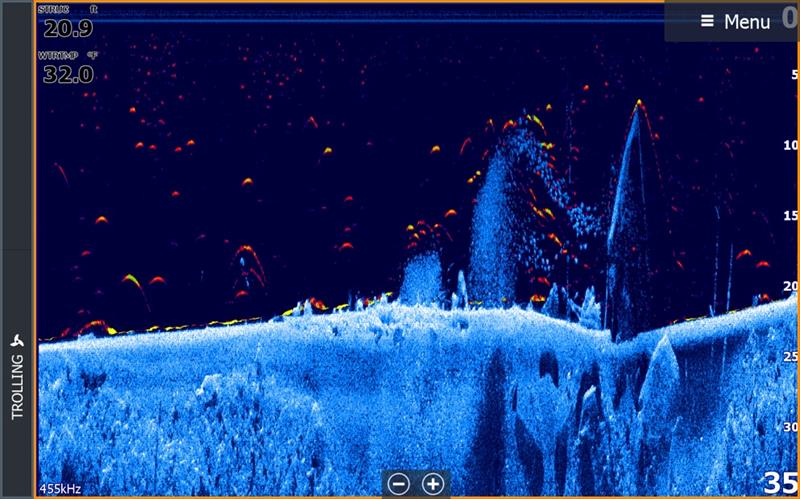 Elite-Ti Fish Reveal Blue - photo © Laura Tolmay