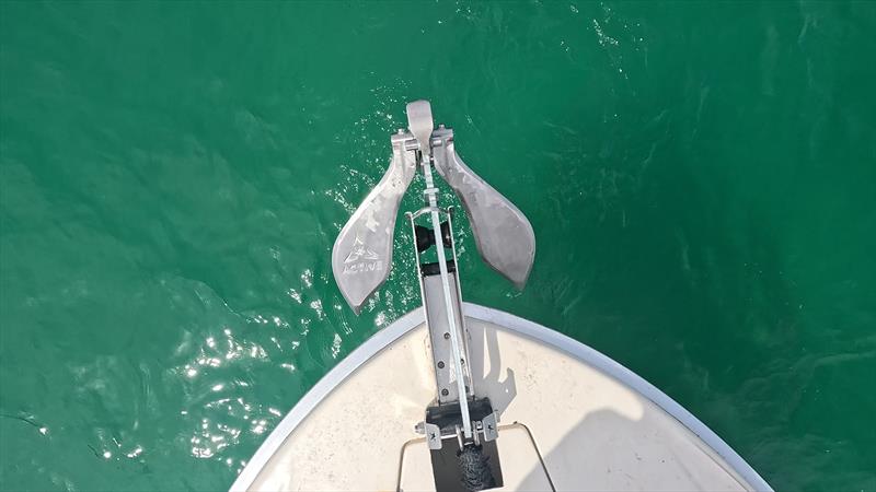 Active Anchors, DF300 (1.5Kg), DF400 (3kg), DF500(7.5Kg), DF600 (14Kg) - Stand C340 - photo © Active Anchors