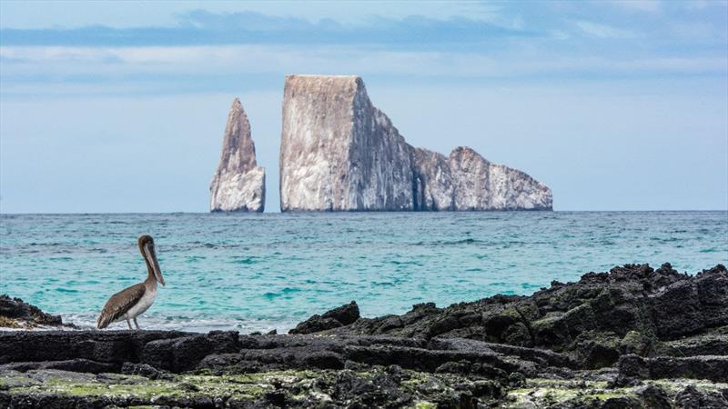 BWA Yachting launches yacht agency operations in Mexico and the Galápagos photo copyright BWA Yachting taken at  and featuring the Marine Industry class