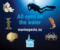Boaties need to be aware of the marine pests in NZ waters and report any sighting &copy; Marine Biosecurity