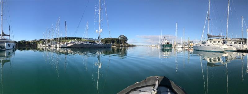 Gulf Harbour Marina was named New Zealand Marina of the Year in 2020  - photo © Sam Happy, Auckland Coulcil