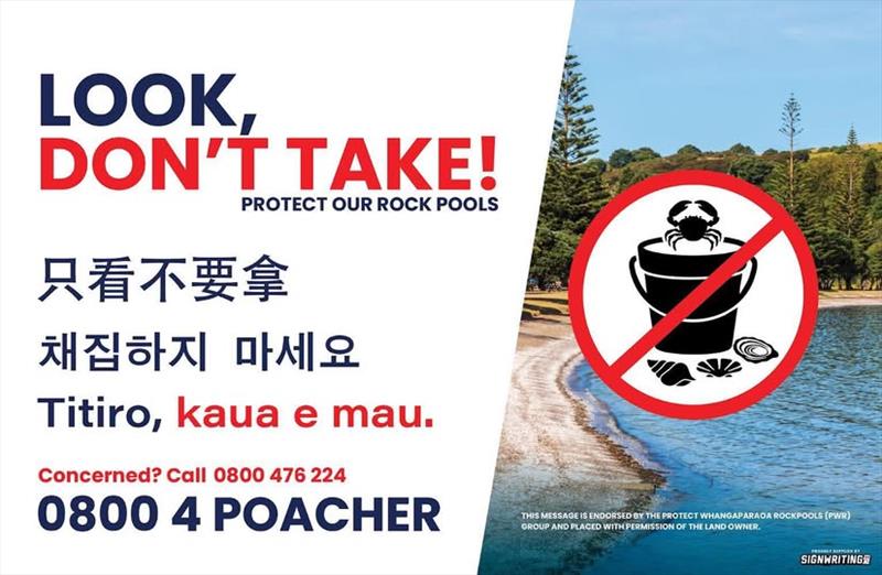 A ban on the taking of any marine shelfish/fauna is prohibited from March 12, 2026 photo copyright Protect Whangaparaoa Rockpools taken at Manly Sailing Club and featuring the  class