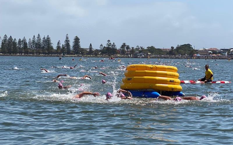 Newcastle Harbour Swim - photo © Suzie Ryan