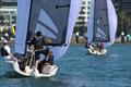 Royal Geelong Yacht Club Open Match Racing Regatta &copy; Royal Geelong Yacht Club