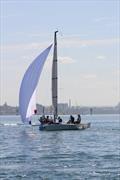 Royal Geelong Yacht Club Open Match Racing Regatta &copy; Royal Geelong Yacht Club