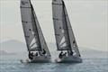 Royal Geelong Yacht Club Open Match Racing Regatta &copy; Royal Geelong Yacht Club