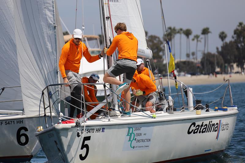 55th LBYC Congressional Cup final day photo copyright Bronny Daniels taken at Long Beach Yacht Club and featuring the Match Racing class