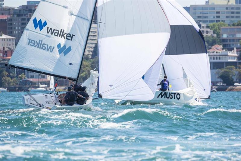 Conditions were ideal for match racing in Rushcutters Bay with blue skies and consistent north-east breeze - Musto International Youth Match Racing photo copyright CYCA / Hamish Hardy taken at Cruising Yacht Club of Australia and featuring the Match Racing class