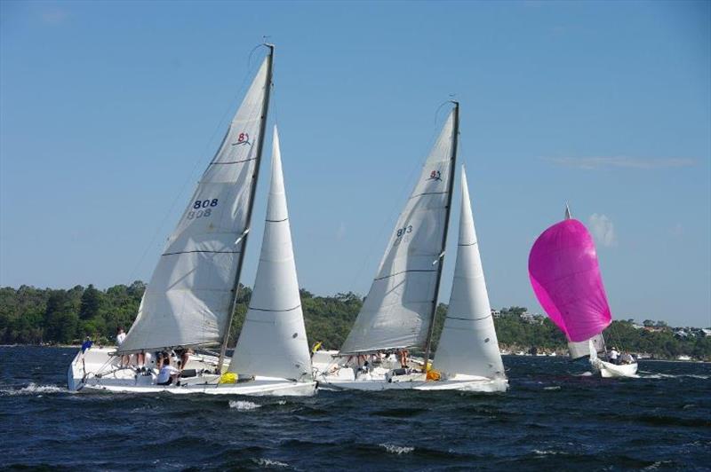 Match racing action at the JESS Match Cup in Freshwater Bay photo copyright RFBYC taken at Royal Freshwater Bay Yacht Club and featuring the Match Racing class