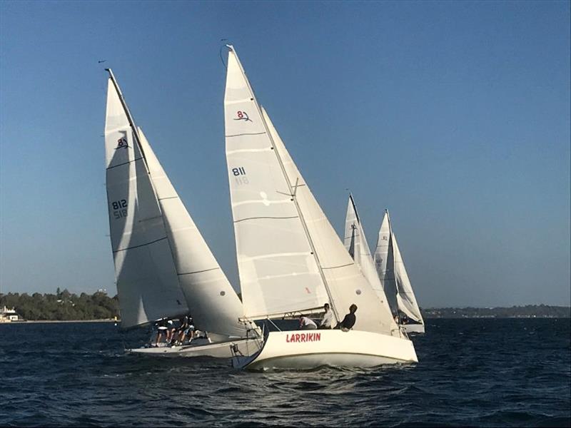RFBYC Sailing Institute teams training in Freshwater Bay this week photo copyright RFBYC taken at Royal Freshwater Bay Yacht Club and featuring the Match Racing class