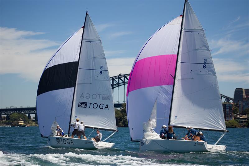 Close racing in the Elliott 7s on stunning Sydney Harbour - Hardy Cup - photo © Darcie Collington Photography