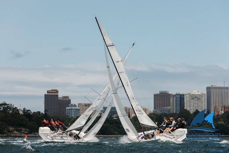 The Hardy Cup 2024 photo copyright Darcie Collington Photography taken at Royal Sydney Yacht Squadron and featuring the Match Racing class