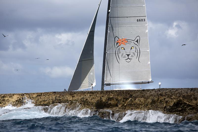 Gunboats on day 3 of the 34th St. Maarten Heineken Regatta - photo © Richard Langdon / Ocean Images