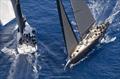 © Tre Golfi Sailing Week / Studio Borlenghi