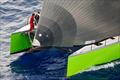© Tre Golfi Sailing Week / Studio Borlenghi
