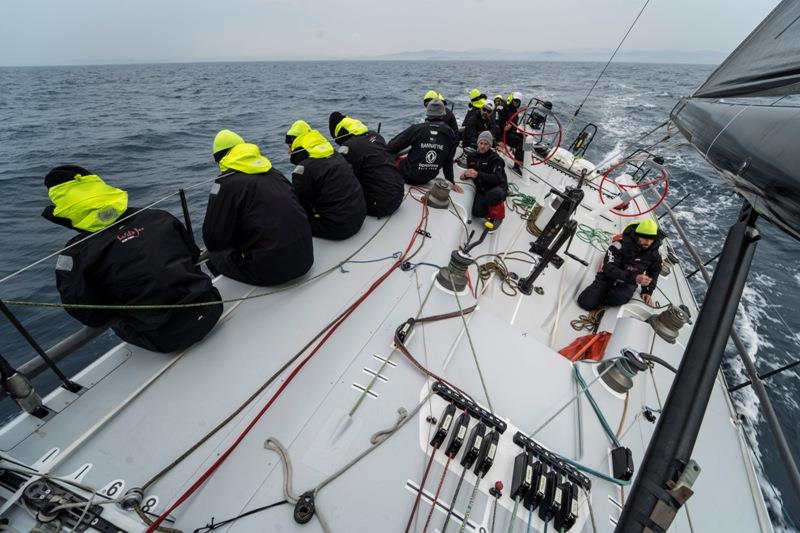 Márton Józsa's Wild Joe crew this year includes Kiwi round the world race legend Stu Bannatyne photo copyright Joka Gemesi / Opel Fifty-Fifty taken at Yacht Club Capri and featuring the Maxi class