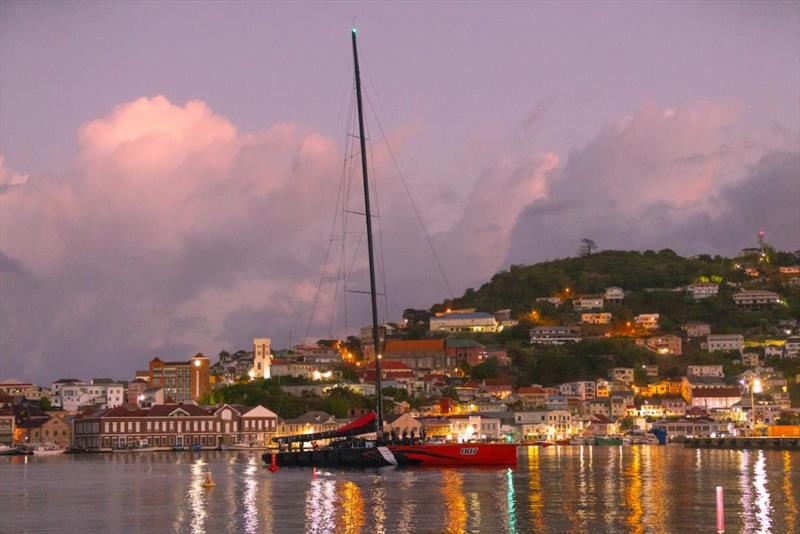 Comanche makes her way to the dock at Camper & Nicholsons Port Louis Marina Grenada just as the comes up on the 8th day of the RORC Transatlantic Race photo copyright Arthur Daniel / RORC taken at Royal Ocean Racing Club and featuring the Maxi class