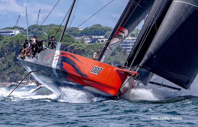 Andoo Comanche sailing in the Bird Island Race - photo © Crosbie Lorimer