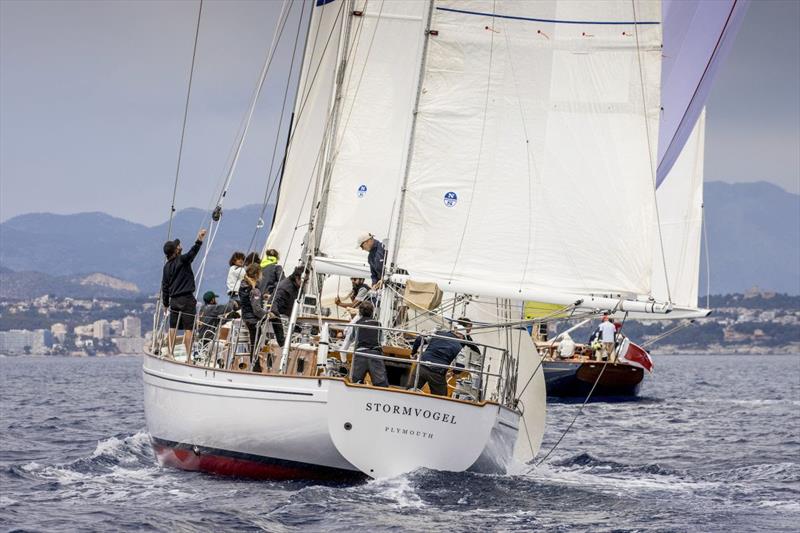 Stormvogel did a sterling job keeping up with the faster yachts in Maxi B until the wind died today. Second was enough to secure her the Maxi B class win - PalmaVela 2023 photo copyright SailingShots by Maria Muiña taken at Real Club Náutico de Palma and featuring the Maxi class