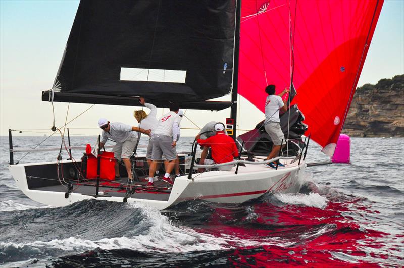 Ginger at the MC38 Autumn Regatta - photo © Bob Fowler