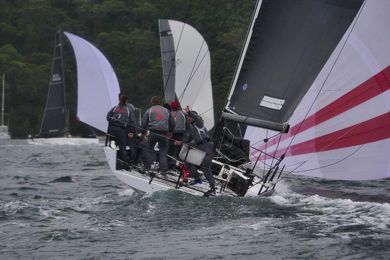 Vino downwind - 2018 MC38 Australian Championship photo copyright Tilly Lock taken at Middle Harbour Yacht Club and featuring the MC38 class