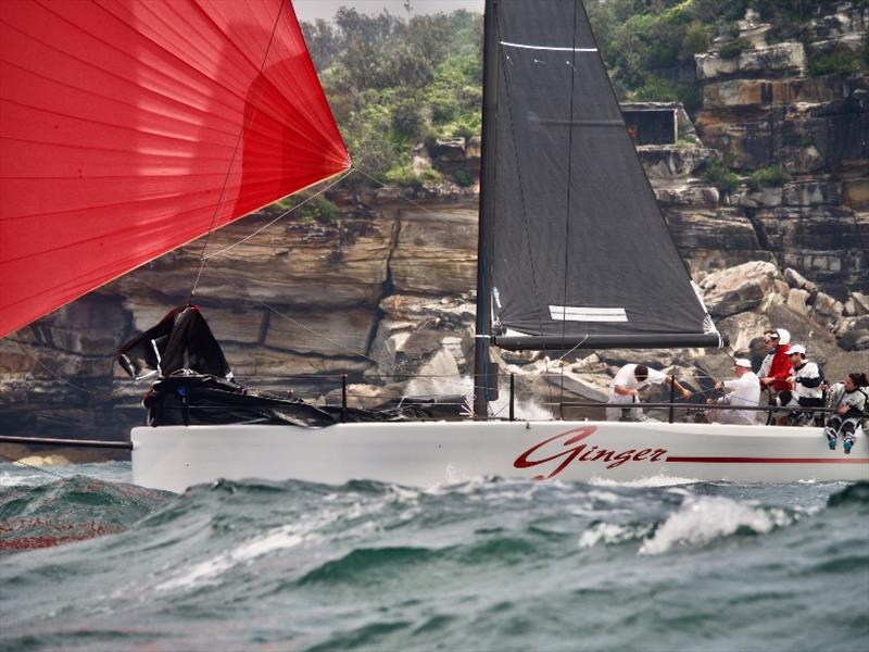 Ginger at Sydney Heads - MC38 2019 Season Act 6 photo copyright Tilly Lock Media taken at Middle Harbour Yacht Club and featuring the MC38 class