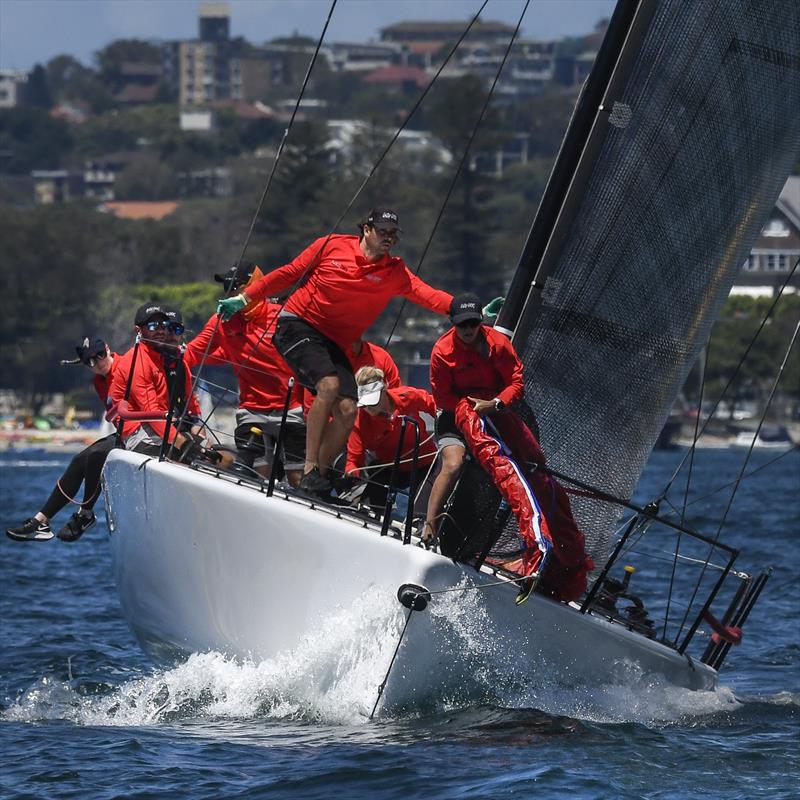 MC38 Aus Champ pointscore leader Lazy Dog - photo © Marg's Yacht Photos