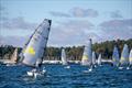 © Melges 14 Class