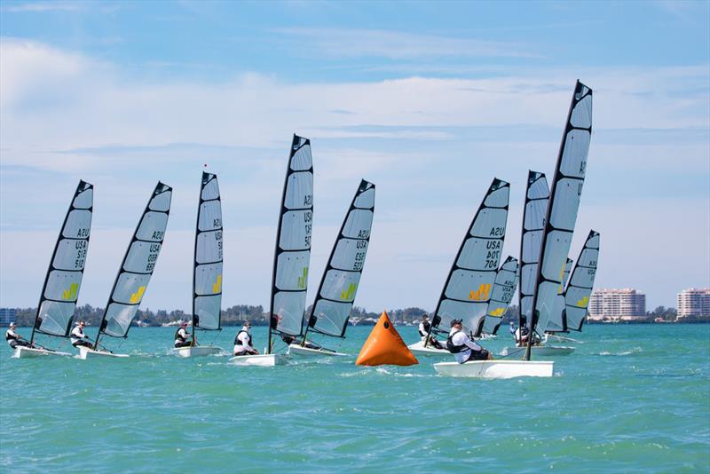 2019 Melges 14 Midwinter Championship - Day 1 photo copyright Hannah Noll taken at Sarasota Sailing Squadron and featuring the Melges 14 class