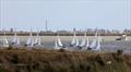 64th Endeavour Trophy - Race 3 heading upwind with committee boat at the right © Mark Jardine