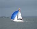 Melges 15 of D Johnston and M Cotter on Howth YC Dinghy Frostbites Spring Series Day 4 &copy; Neil Murphy