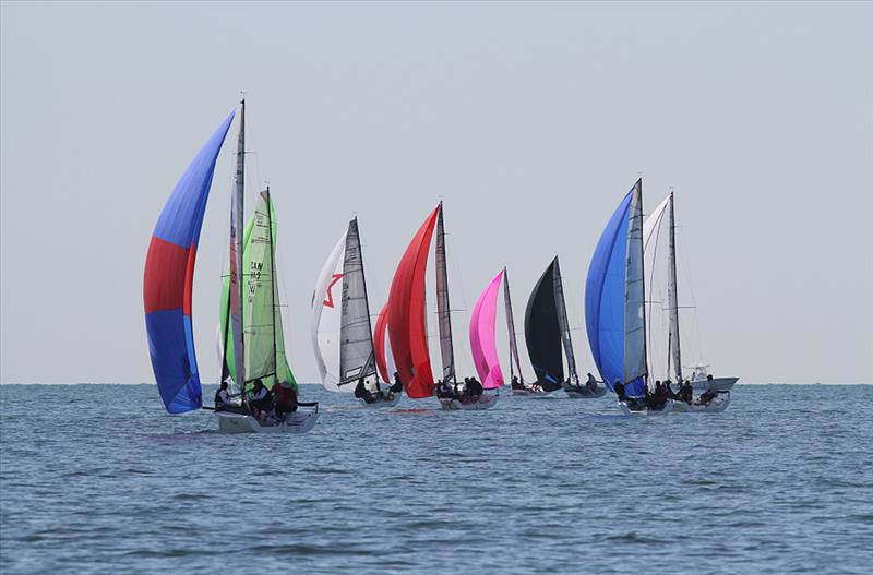 Audi Melges 20 Bacardi Miami Sailing Week day 1 photo copyright JOY / International Audi Melges 20 Class Association taken at  and featuring the Melges 20 class