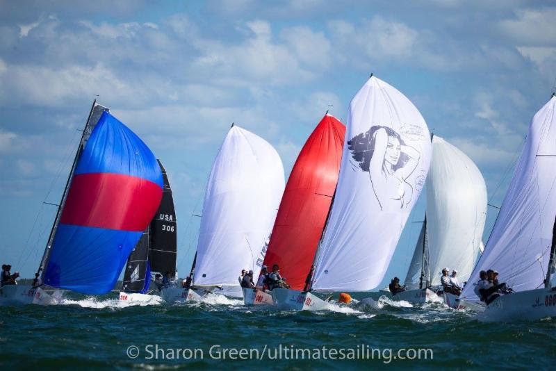 2017-2018 Melges 20 Miami Winter Series photo copyright Sharon Green / ultimatesailing.com taken at Coconut Grove Sailing Club and featuring the Melges 20 class