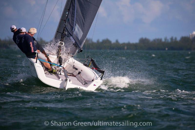 2017-2018 Melges 20 Miami Winter Series - Rob Wilber, CINGHIALE - photo © Sharon Green / ultimatesailing.com