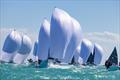 Melges 24 fleet blasts downwind during the Southernmost Regatta 2022 at Key West, Florida