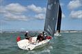 Buccaneer and Lock Stock chase Assassin - Summer Series at Royal Temple YC race 1