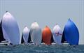 © IM24CA / Zerogradinord / Andrea Carloni