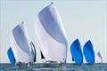 2025 US Melges 24 National Championship