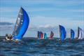 &copy; Trond Teigen / SailLogic