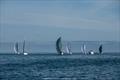 &copy; Trond Teigen / SailLogic