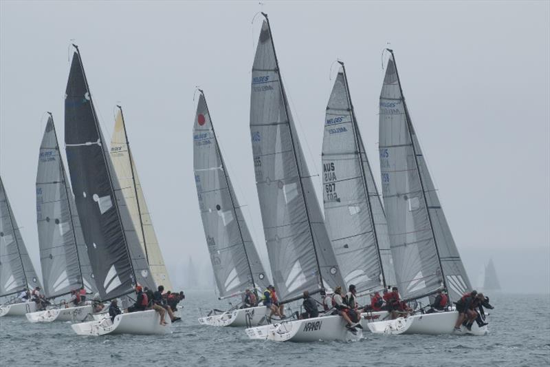 Day 2 - Melges 24 racing was tight all day – Musto Melges 24 Australian Nationals photo copyright Ally Graham taken at Port Lincoln Yacht Club and featuring the Melges 24 class