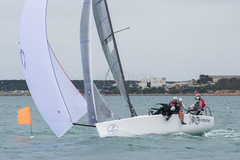 Sandy Higgins' Scorpius enjoyed the heavier winds - 2018 Musto Melges 24 Nationals - photo © Ally Graham