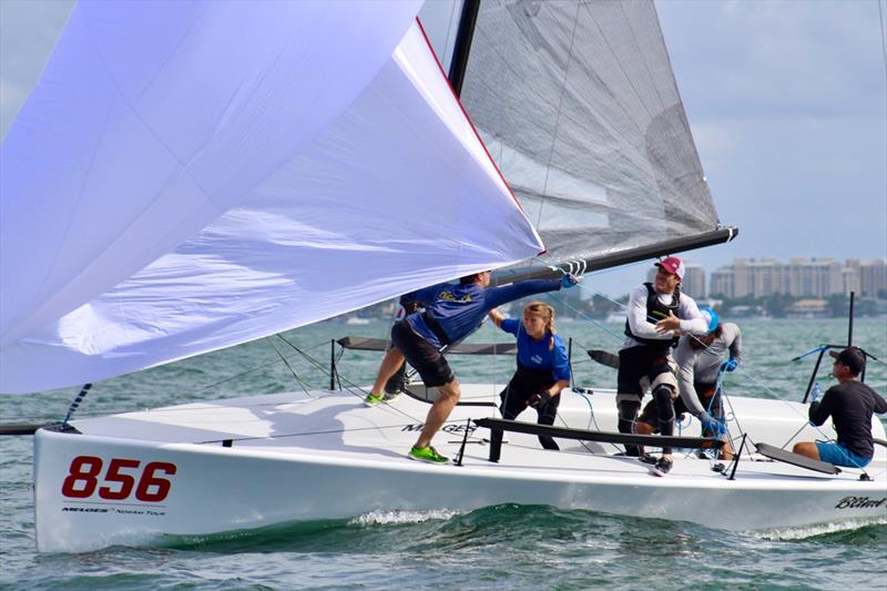 Crew choreography at the 2020 Melges 24 Winter Series photo copyright Kathleen Tock taken at Shake-A-Leg Miami and featuring the Melges 24 class