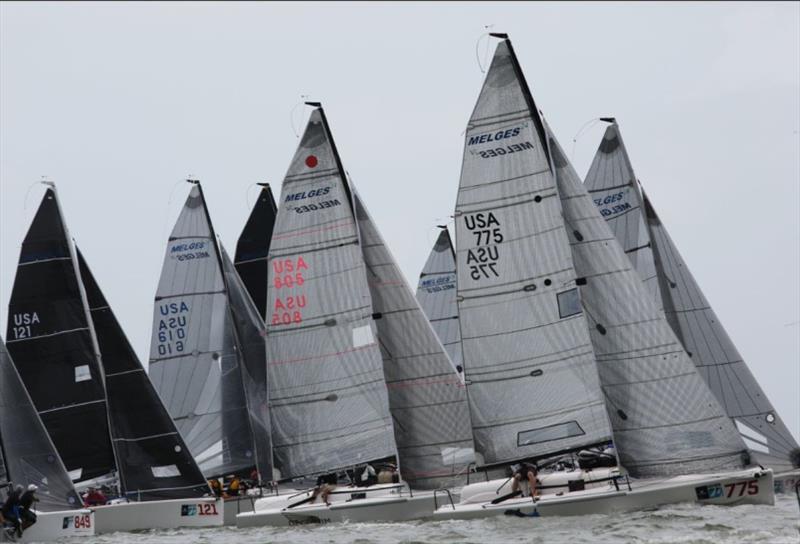 Melges 24 at Charleston Race Week - photo © U.S. Melges 24 Class Association