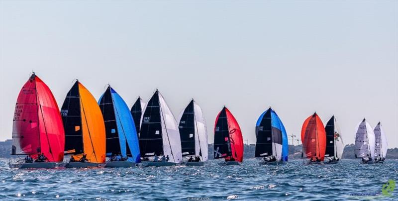 Melges 24 European Championship 2021 - Portoroz, Slovenia photo copyright IM24CA / ZGN taken at  and featuring the Melges 24 class