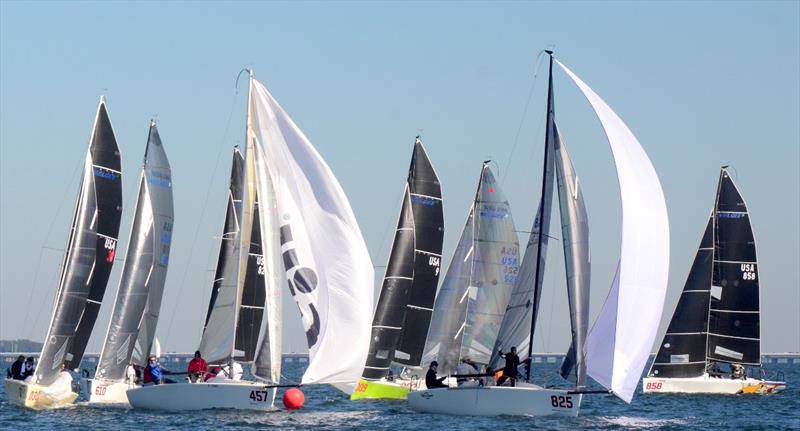 Bruce Ayres' Monsoon [USA 825] with crew Brian Porter, George Peet, Chelsesa Simms and America's Cup challenger Stars Stripes USA CEO/skipper Mike Buckley won the inaugural Bushwhacker Cup with scores of 2-1-2-5-1 for 11 points photo copyright Talbot Wilson taken at Pensacola Yacht Club and featuring the Melges 24 class