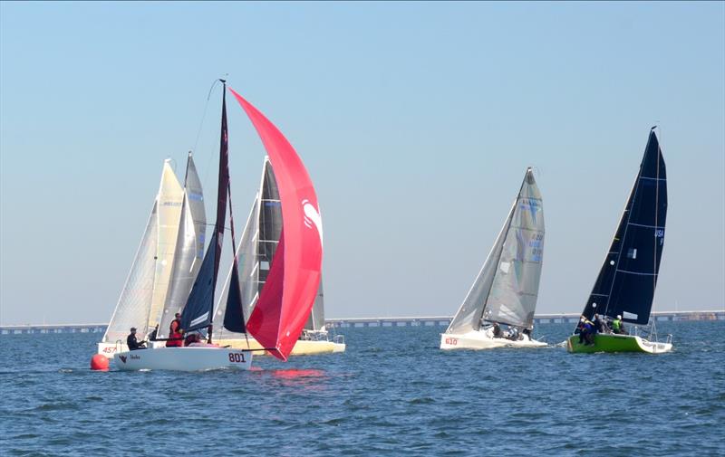 In the 2019 inaugural Bushwhacker Cup, Kelly Shannon, a Lake Lanier Sailing Club sailor from the Atlanta GA area, sailed Shaka[USA 801] to third place with scores of 3-4-3-4-5 for 20 points. He commented on his first time on Pensacola Bay photo copyright Talbot Wilson taken at Pensacola Yacht Club and featuring the Melges 24 class